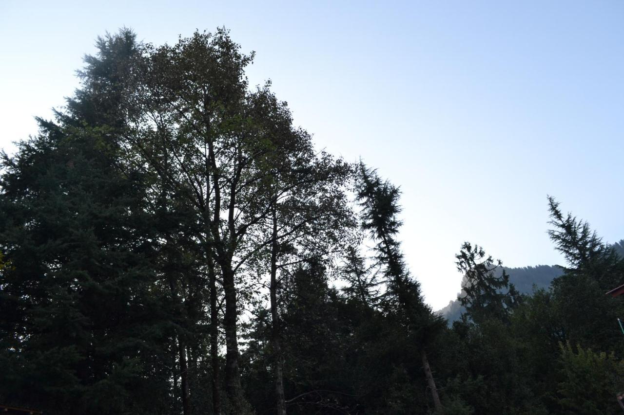 Forest Wood Cottage มะนาลี ภายนอก รูปภาพ