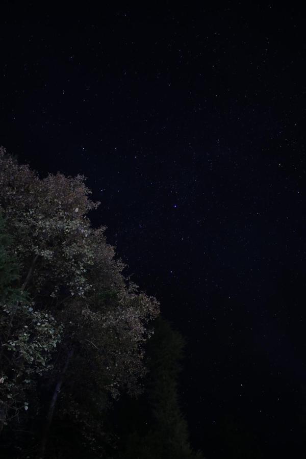 Forest Wood Cottage มะนาลี ภายนอก รูปภาพ